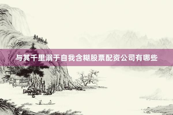 与其千里溺于自我含糊股票配资公司有哪些